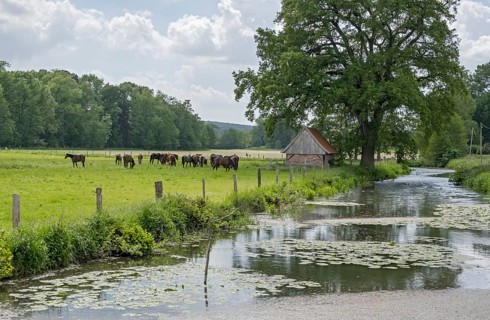 Münstersche Aa, Havixbeck, Münsterland, North Rhine-Westphalia, Germany, Europe