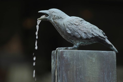 Detail with raven as gargoyle and water jet at the Fools' Fountain, Furtwangen, Southern Black