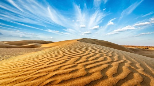 Panorama of dunes of Thar Desert. Sam Sand dunes, Rajasthan, India, Asia