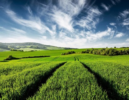 Vintage retro effect filtered hipster style image of Green fields of Moravia, Czech Republic,