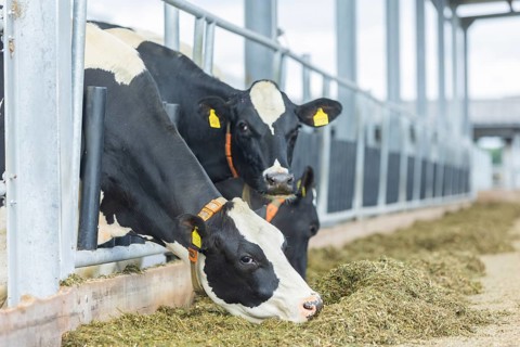 Federal Minister of Food and Agriculture, Cem Özdemir, visits Großdrebnitzer Agrarbetriebsges. mbH