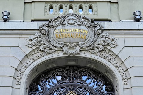 Lion medallion above the main portal, Swiss National Bank, Bern, Switzerland, Europe