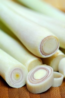 Lemongrass (Cymbopogon citratus)