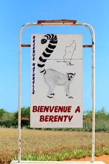Berenty Shield, Berenty Reserve, Madagascar, Africa