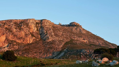 Morning light, Mons Erix, Castello di Venere, blue cloudless sky, tree, meadow, Erice, Trapani