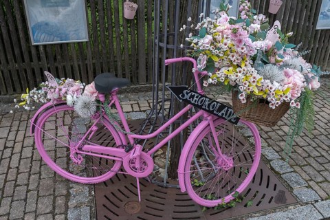 Pink coloured bicycle decorated with artificial flowers, Bavaria, Germany, Europe
