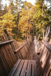 Old wooden bridge with railings in autumn forest, Calw, Black Forest, Germany, Europe