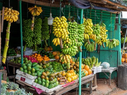 Fruit stand with banana plants and fruits, Sri Lanka, Asia