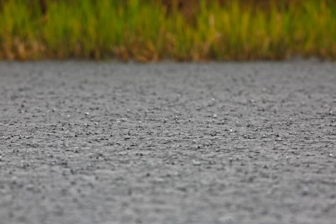 Heavy rain on the Trebel River, severe weather, Peene Valley River Landscape nature park Park,