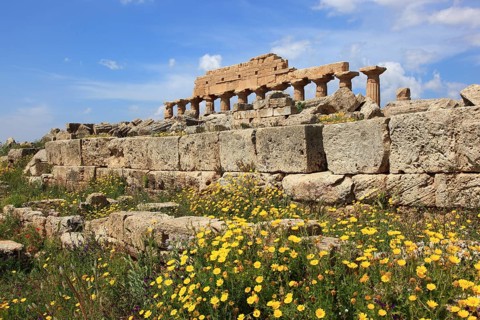 Selinunte, remains of the temples of the acropolis in the archaeological site of Selinunte, Trapani
