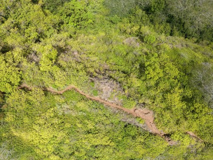 Aerial view of Sleeping Giant East Trailhead, Nounou Forest Reserve, Wailua, Kauai, Hawaii, USA,