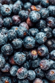 Food photography, european blueberry (Vaccinium myrtillus), blueberries with water drops, close up