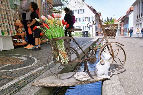 Freiburg, Germany, April 2022: Decorative bicycle with tulip flowers over stream called 'Bächle'