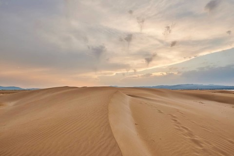 Beach "Platja del Fangar", sand dunes, Vegetation, nature reserve, ebro delta, Catalonia, Spain,