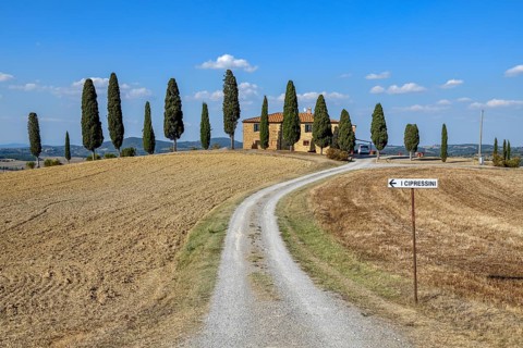 Cypresses in front of a country house, near Pienza, Val d'Orcia, Orcia Valley, Tuscany, Italy,
