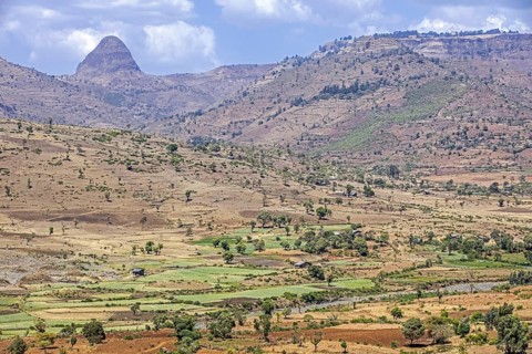 Countryside showing farms with green fields in barren landscape along the road from Bahir Dar to