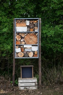 Insect hotel for solitary bees and artificial nesting place for other insects, invertebrates with