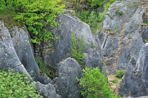 Eroded rocks of a gorge in the Fondry des Chiens nature reserve, a sinkhole near Nismes in
