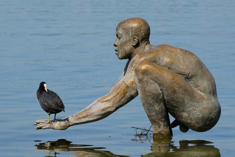 Sculpture El Ninio by Ubbo Enninga, common coot (Fulica atra) on hand, Radolfzell, Lake Constance,