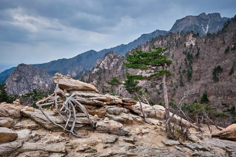 Rocks and stones in cloudy weather. Seoraksan National Park, South Korea, Asia