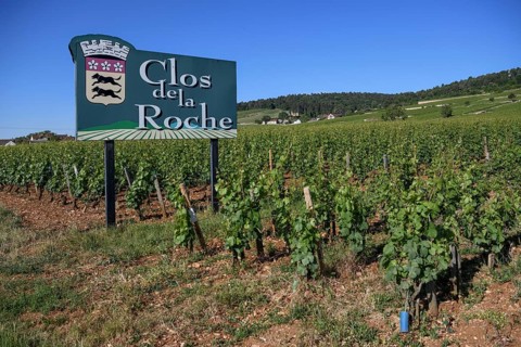 Sign at a vineyard on the Route des Grand-Crus, Route of Fine Wines, Clos de la Roche,