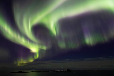 Northern Lights (Aurora borealis) in green and pink over the North Sea, Andøya, Vesterålen, Norway,