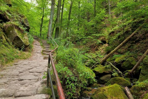 Amselgrund in Saxon Switzerland