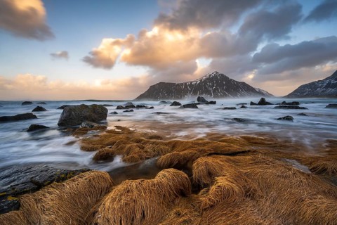 Coast near Skagsanden beach, Flakstad, Lofoten, Norway, Europe