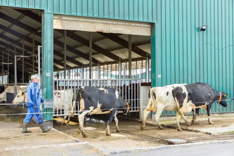 Federal Minister of Food and Agriculture, Cem Özdemir, visits Großdrebnitzer Agrarbetriebsges. mbH