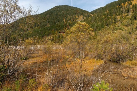 Rißbach stream in the Rißtal valley, boggy area in the riverbed, Karwendel nature park Park in
