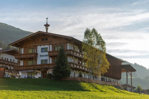 Vorderlanersbach, Tuxer Tal, Tux, Zillertal Alps, alpine mountain world, pension, birch, Tyrol,