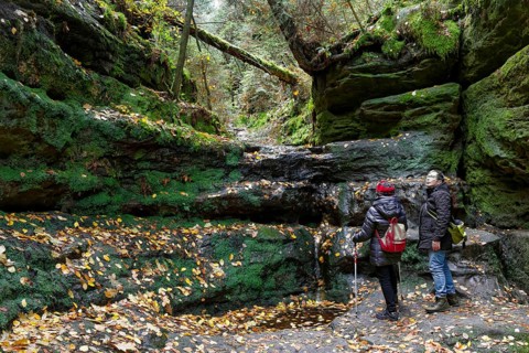 Hiking trail through the Schwedenlöcher, Amselgrund near Rathen, Saxon Switzerland, Elbe Sandstone