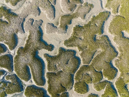 Network of dry channels and streams at low tide, in the marshland of the Bahía de Cádiz, aerial
