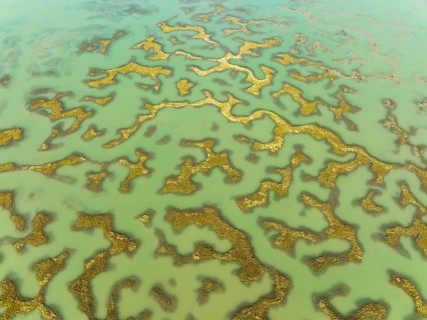 Network of channels and streams at low tide, in the marshland of the Bahía de Cádiz, aerial view,