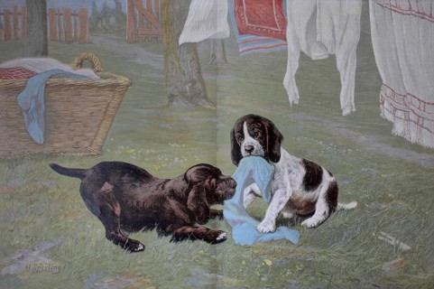 Young dogs at play, pulling laundry off the line. Colour print as art supplement Zur guten Stunde,