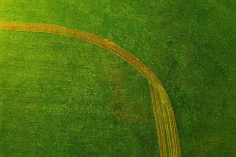 Drone image, structure of a mown meadow, from above, structure, agriculture, agricultural