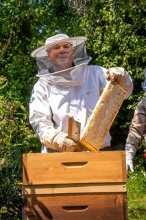 Beekeeper with bees, Black Forest, Gechingen, Germany, Europe