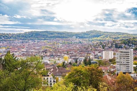 View of a city with dense buildings surrounded by autumnal trees under a cloudy sky Skyline