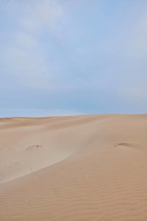Beach "Platja del Fangar", sand dunes, Vegetation, nature reserve, ebro delta, Catalonia, Spain,
