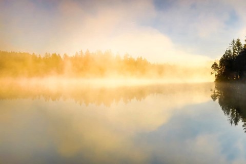 Backlit sunrise with wafts of mist over the mirror-smooth moorland lake Étang de la Gruère in the