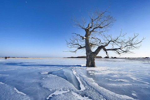 Lake Baikal, Pribaikalsky National Park, Irkutsk Province, Siberia, Russia, Europe