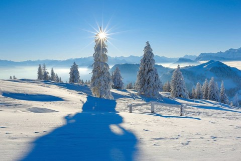 View from the Rigi, Glarus Alps, Switzerland, Europe