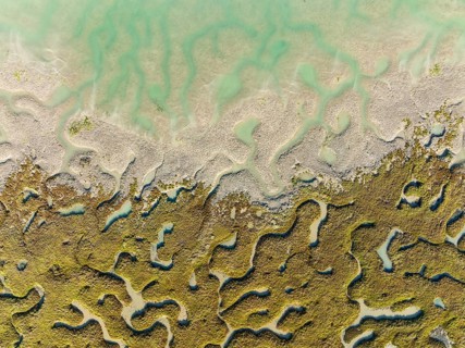 Network of channels and streams at low tide, in the marshland of the Bahía de Cádiz, aerial view,
