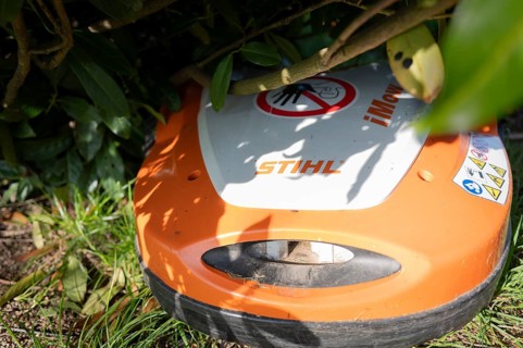 Mowing robot, lawn mower, Stihl, orange and white, under a cherry laurel bush, standing on lawn,