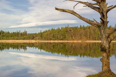 Lake Fohnsee of the Ostersee-group in early morning light
