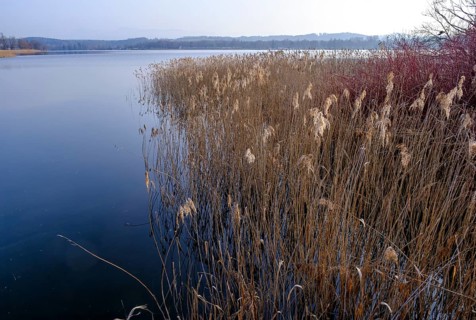 Waginger See, Tachinger See, at the jetty near Tettenhausen, Rupertiwinkel, Upper Bavaria, Bavaria,
