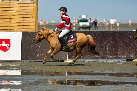 Rider, pony at a gallop, child at a gallop race in the mudflats, Duhner Wattrennen 2019, Duhnen,