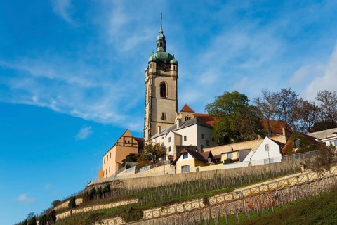 Church and houses on a hill with vineyards under a clear sky, Church of St Peter and Paul, Melnik,
