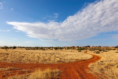 A sandy desert path winds its way through a dry landscape under a partly cloudy blue sky, Kalahari,