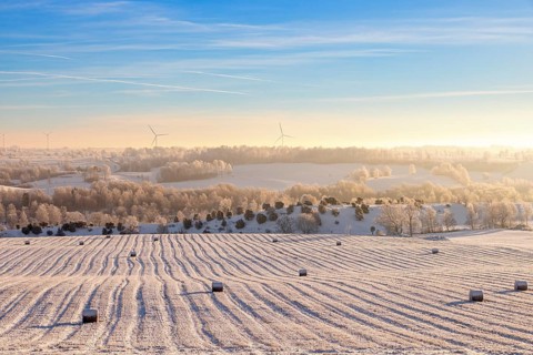Scenic view at straw bales on a field in a frozen winter landscape with snow and hoarfrost on the